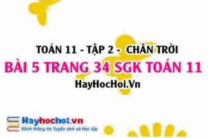 Bài 5 trang 34 Toán 11 tập 2 Chân trời sáng tạo